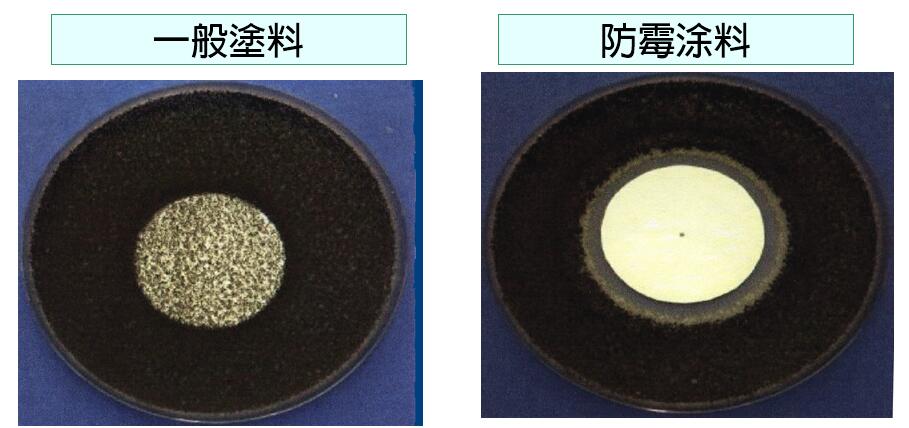 防霉涂料 防霉涂料